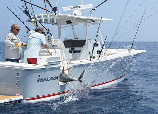 Fishing The Gulf Coast IMG 6604 555X400 BPI