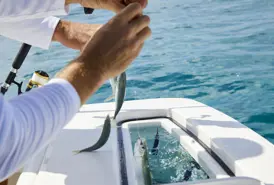 34 Guys Fishing Z1A1945 RGB WG