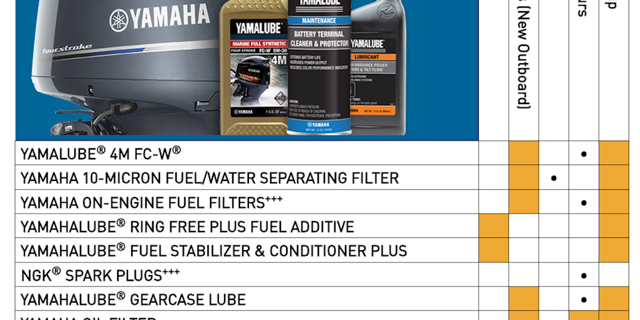 Service Intervals 1000