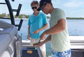 Regulator Selector Image4