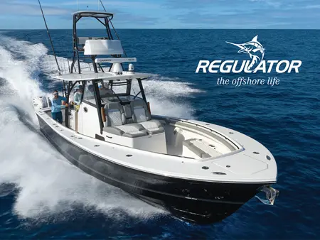 Regulator Brochure Lookbook