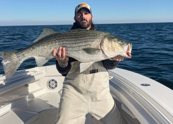 Dave Fazio 555 X 400