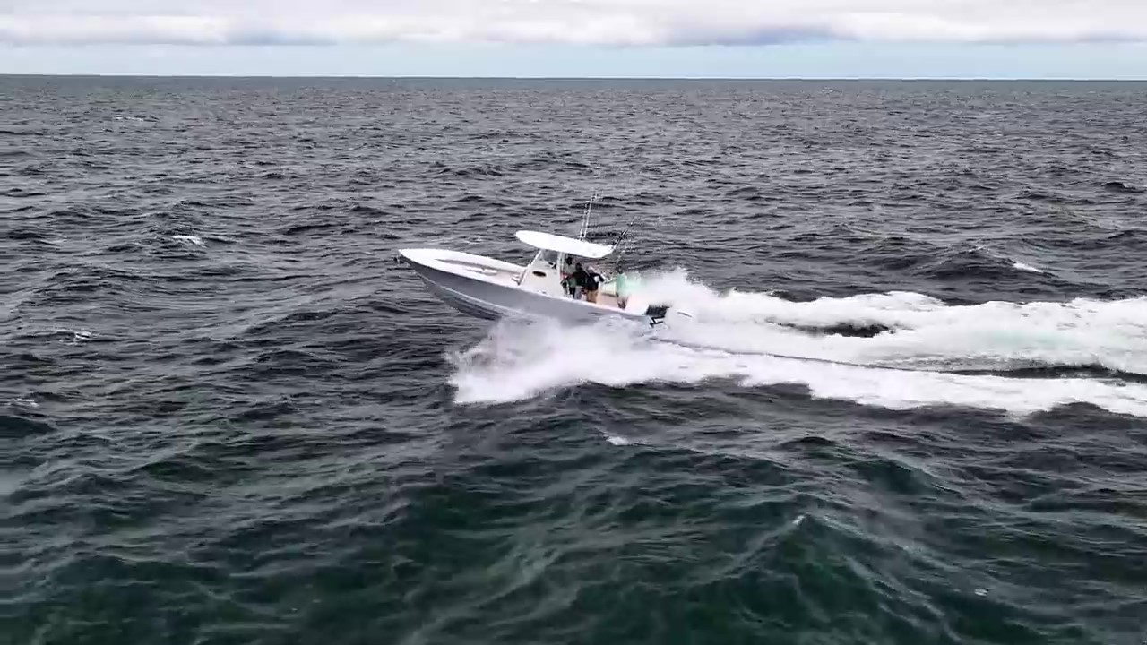 The All New Regulator 28 V1 (720P) Trim Frame At 0M0s