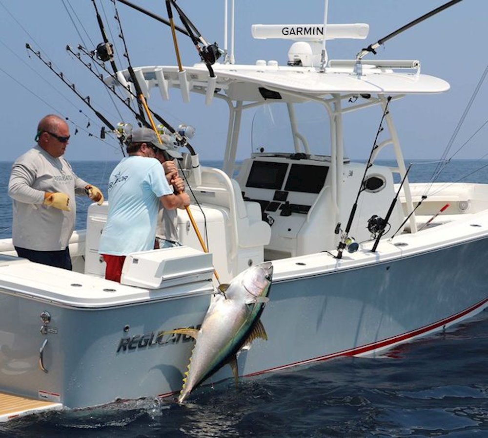 Gulf Coast Fishing Pic R31 Landing A Fish