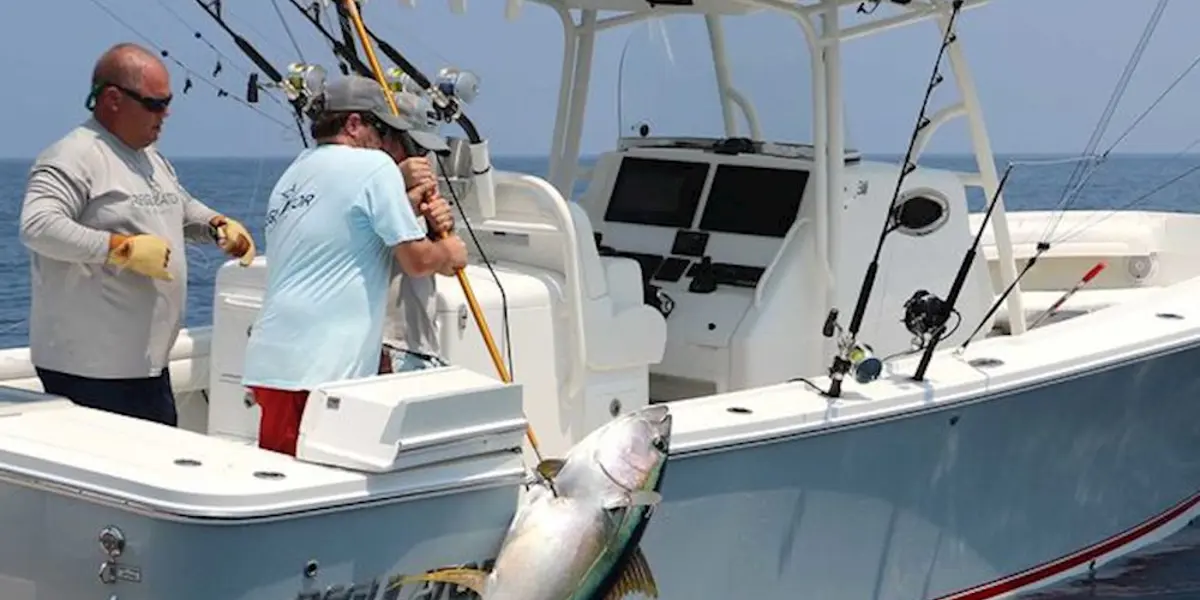 Gulf Coast Fishing Pic R31 Landing A Fish