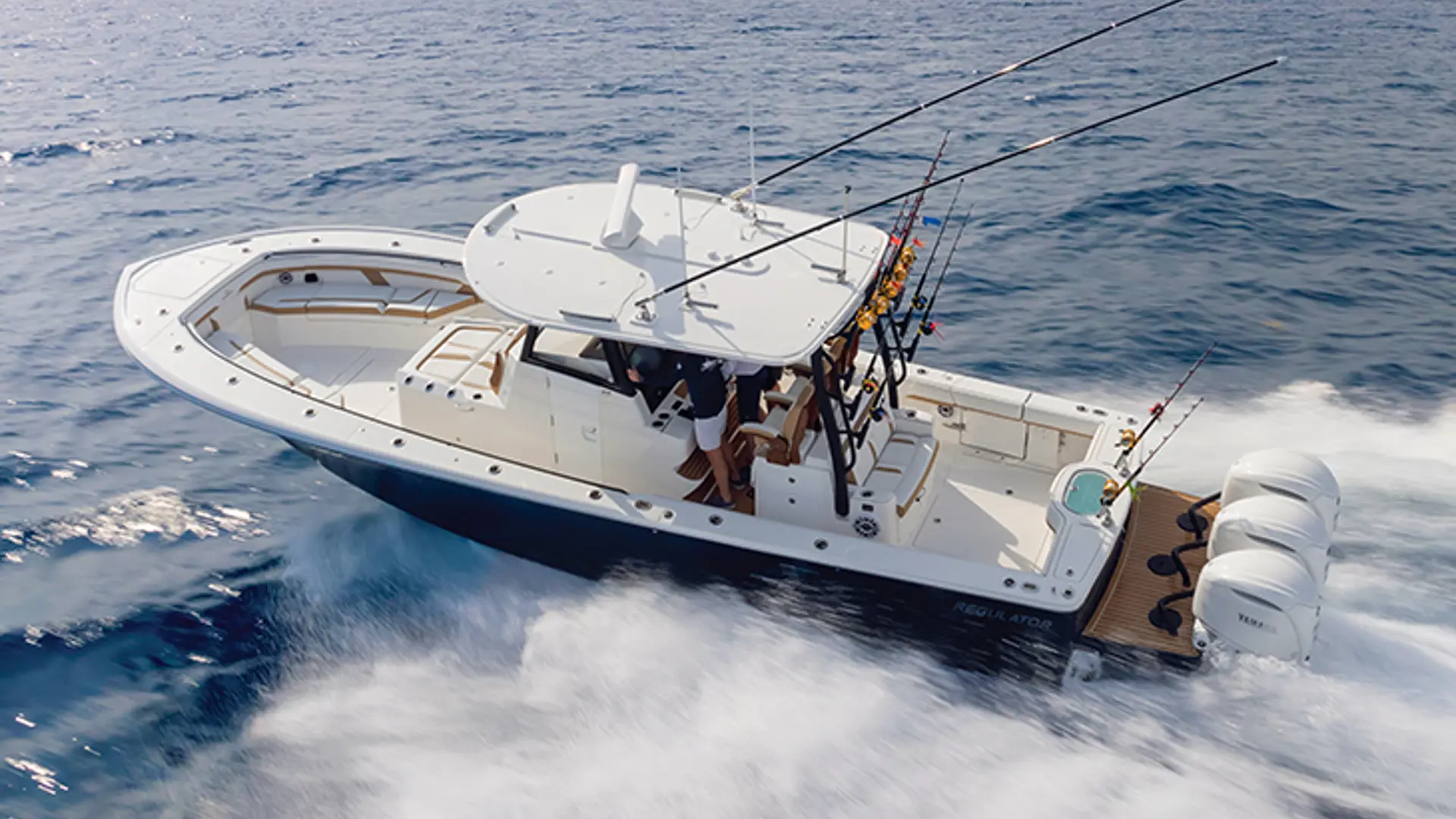 Reg35 0046 D 730Pxl ALT