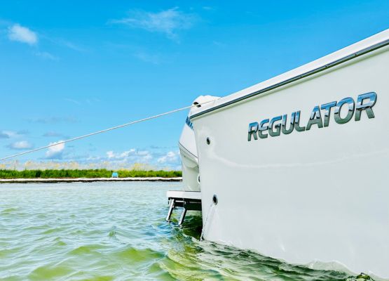 Joe Sweeney 555 X 400